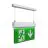 Ansell LED suspendu Panneau de sortie de secours Kestrel Blanc 2W 14lm - 865 Lumière du Jour